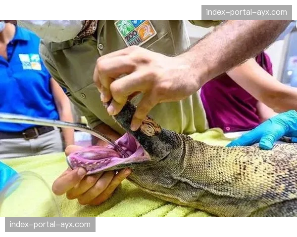 迈阿密赛事方推出环保新举措，将全面采用可回收水瓶