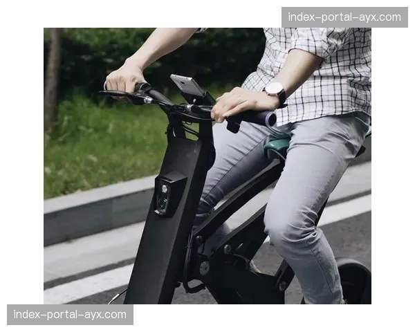 电动山地车(e-MTB)世锦赛:德国车手展现强大越野能力夺冠 电动山地车(e-MTB)世锦赛:德国车手展现强大越野能力夺冠